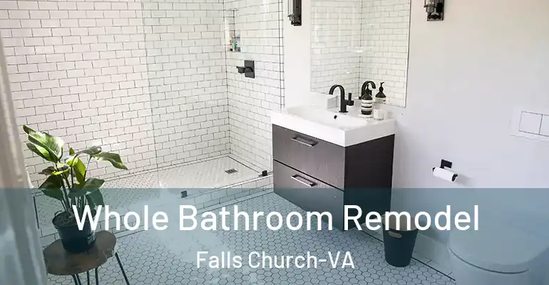 inner Bathroom imggen Whole Bathroom Remodel Falls Church-VA