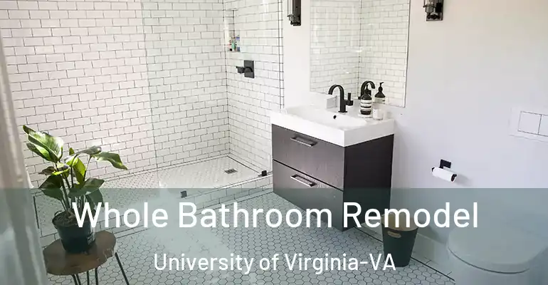 inner Bathroom imggen Whole Bathroom Remodel University of Virginia-VA