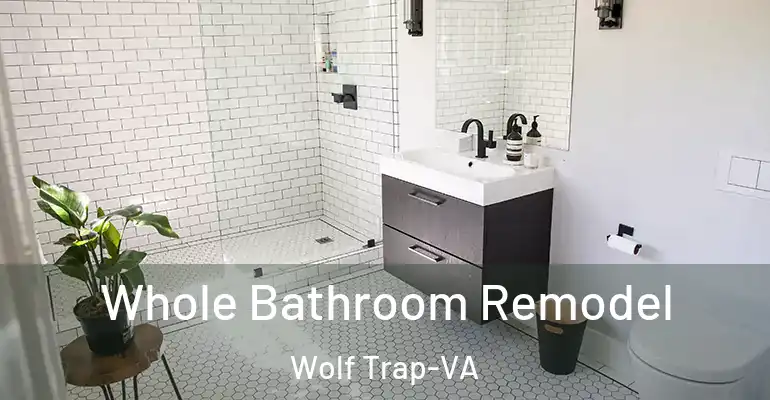 inner Bathroom imggen Whole Bathroom Remodel Wolf Trap-VA